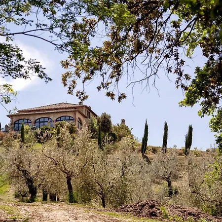 Il Poggio Degli Olivi Farma