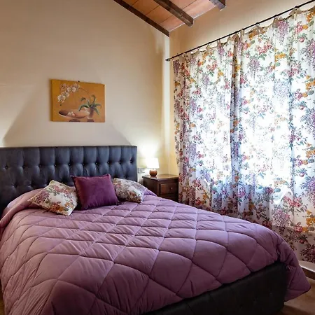 Il Poggio Degli Olivi *