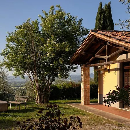 Il Poggio Degli Olivi Bettona