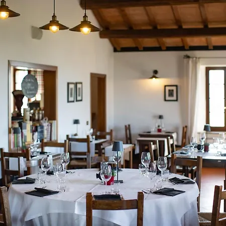 Il Poggio Degli Olivi Bettona