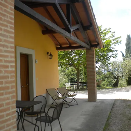 Il Poggio Degli Olivi *