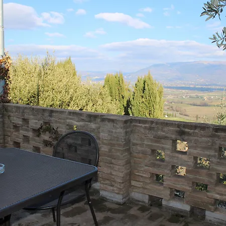 Il Poggio Degli Olivi Farma