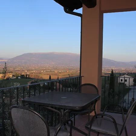 Il Poggio Degli Olivi Farma