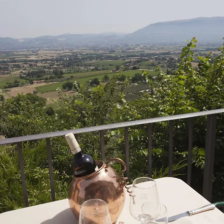 Il Poggio Degli Olivi