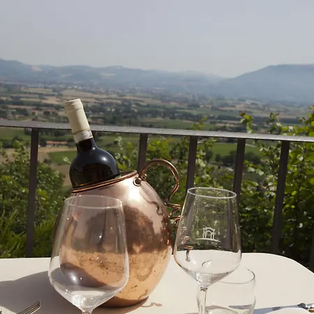 Il Poggio Degli Olivi