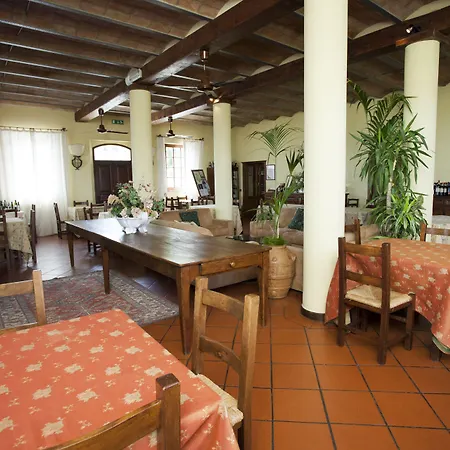Il Poggio Degli Olivi *