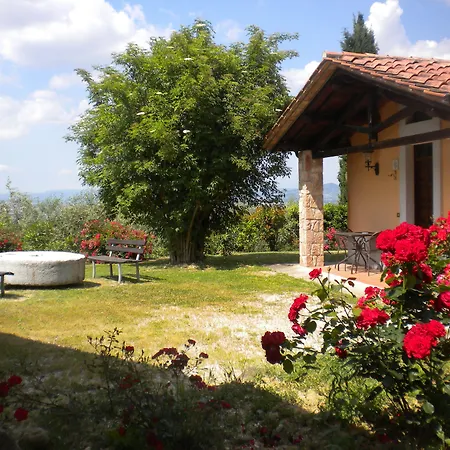 Il Poggio Degli Olivi Farma *