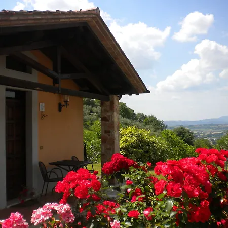 Il Poggio Degli Olivi Farma