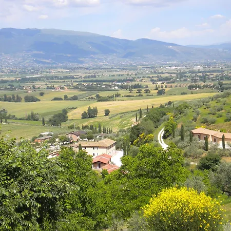 Il Poggio Degli Olivi *