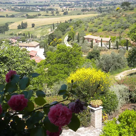 Farma Il Poggio Degli Olivi Bettona