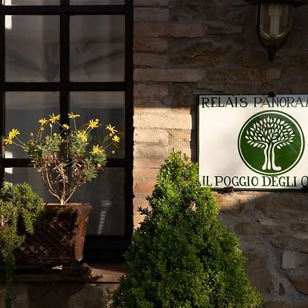 Il Poggio Degli Olivi Farma