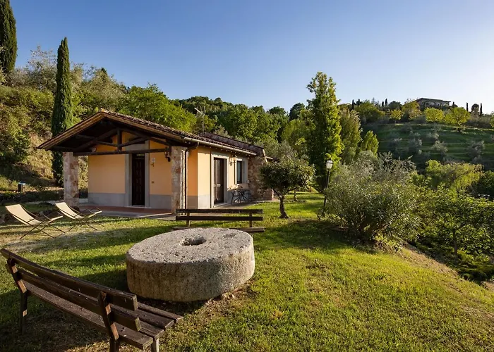 Il Poggio Degli Olivi Alojamento de Turismo Rural