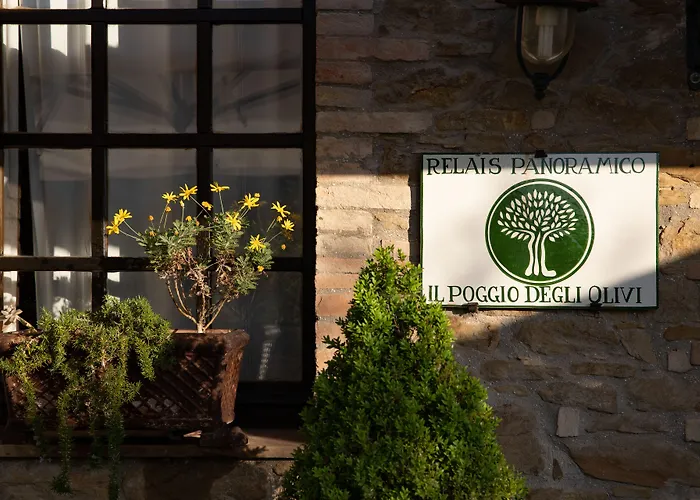 Il Poggio Degli Olivi Alojamento de Turismo Rural